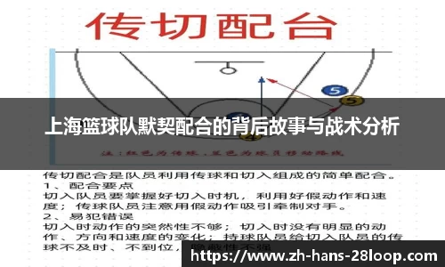 上海篮球队默契配合的背后故事与战术分析